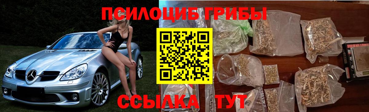Богородск  Псилоцибиновые грибы Psilocybine cubensis  Вход с VPN 